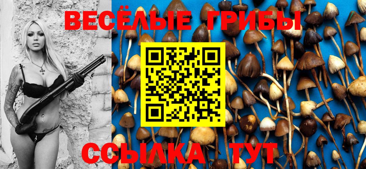 Галлюциногенные грибы мицелий Зима